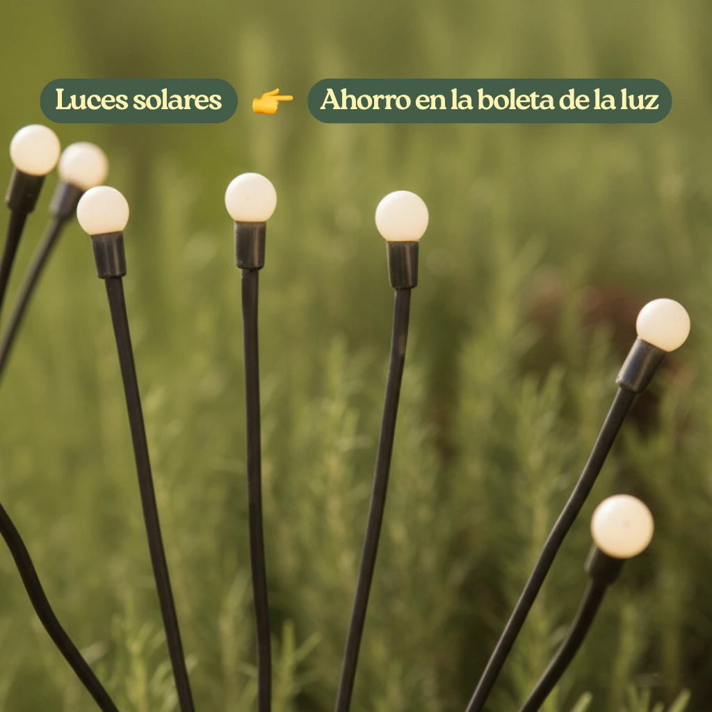 Ramo de Luces Solares — Efecto Cálido Tipo Luciérnaga