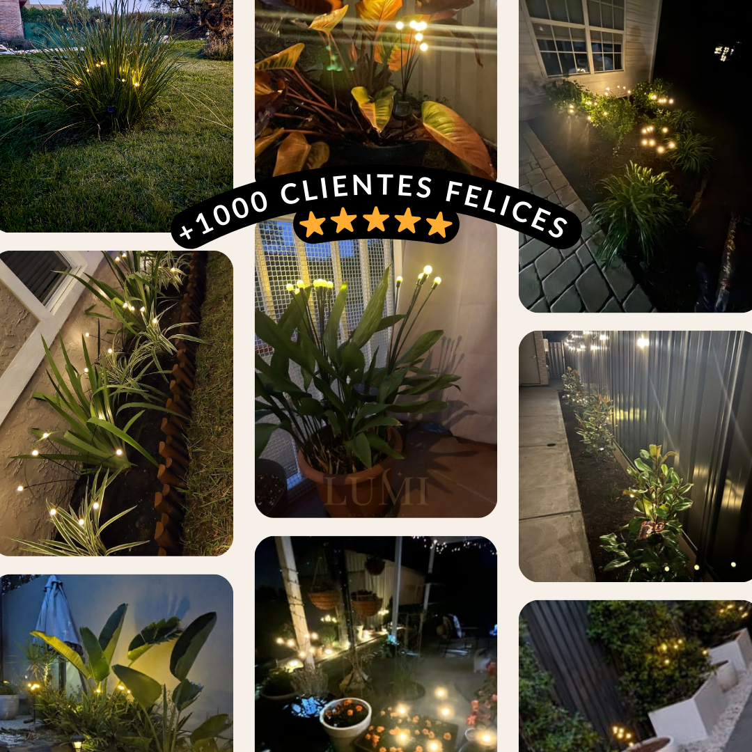 Ramo de Luces Solares — Efecto Cálido Tipo Luciérnaga